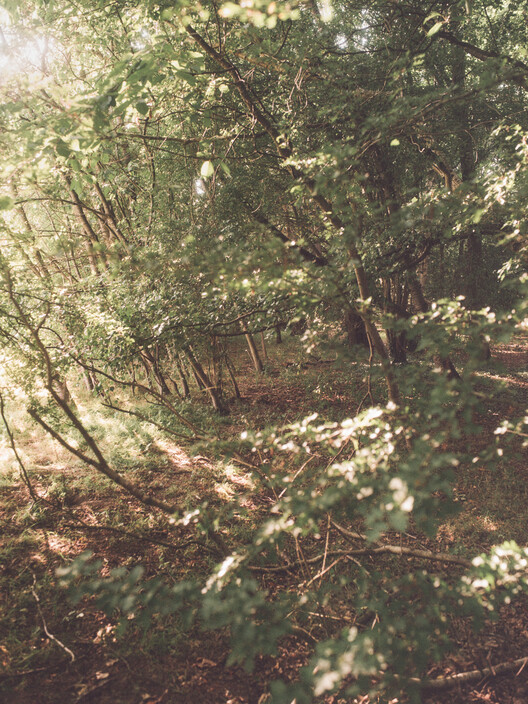 Fairmead House / Apricot Square Fairmead House / Apricot Square - Image 13 of 15