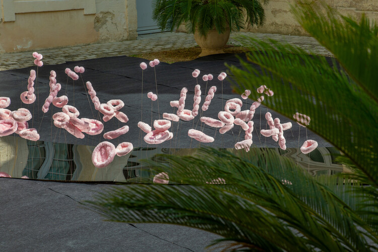 La lengua catadora - Instalación artística / Studio Deng - Fotografía interior