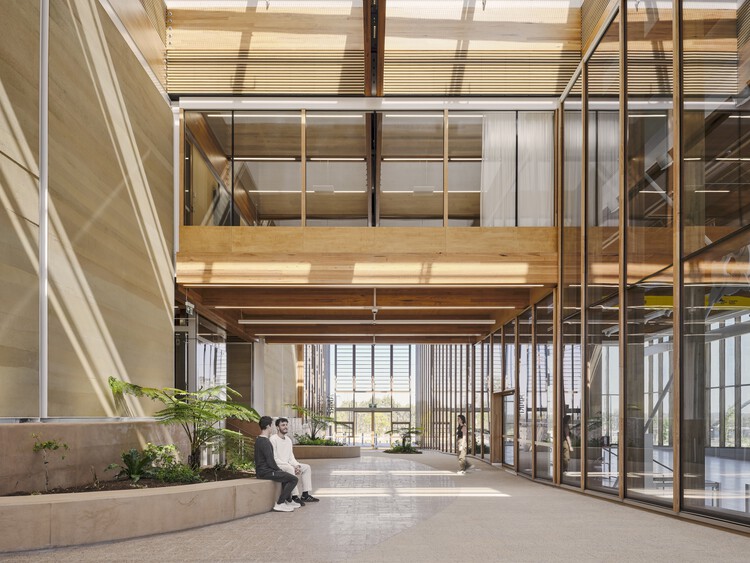 Bradfield Center Building 1 / HASSELL - fotografía de interiores, madera, vidrio, fijación de vigas