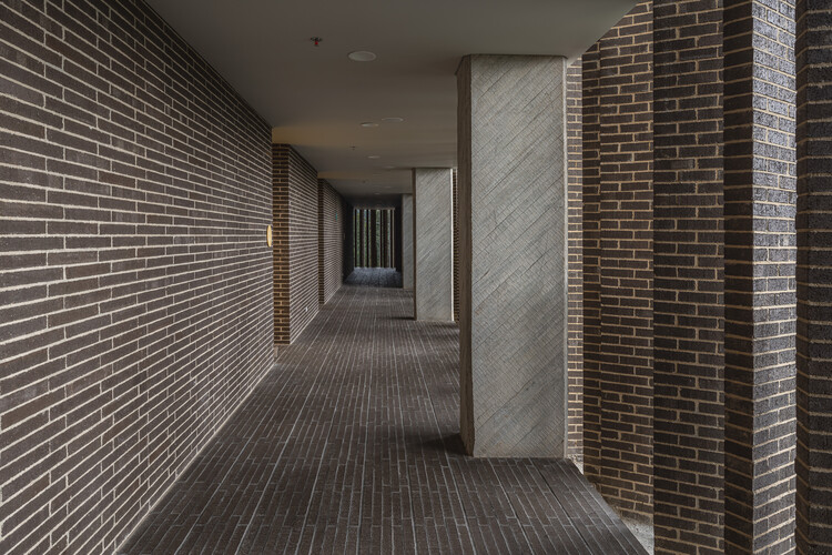 Colegio Hontanar IB / taller de arquitectura de bogotá - Imagen 9 de 20