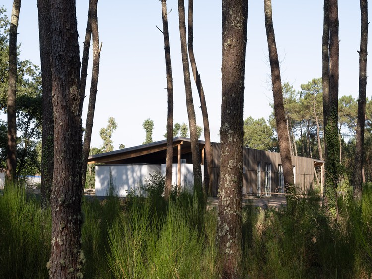 La Pinede Elementary School and Multi-Purpose Hall / ZW/A zweyacker & associés - Image 6 of 16