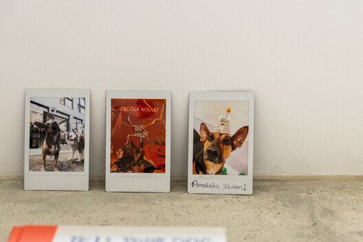 Apartamento Floresta / Balaio Arquitetura Apartamento Floresta / Balaio Arquitetura - Fotografia de Interiores