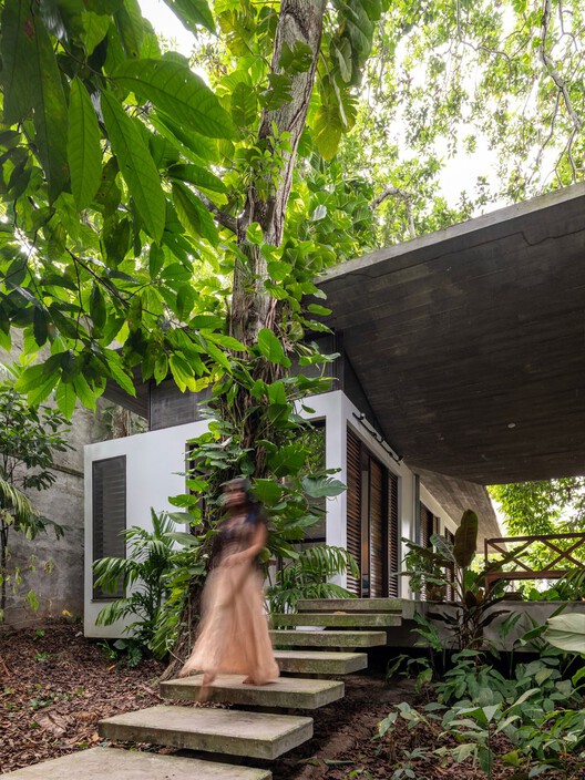 Casa Cajuí / Laurent Troost Architectures - Fotografia de Exterior, Madeira, Jardim