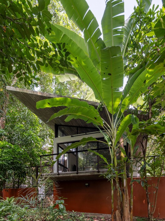 Casa Cajuí / Laurent Troost Architectures - Imagem 7 de 37