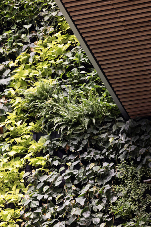 Lagunen II Shopping Center / BIOSIS - Image 10 of 32