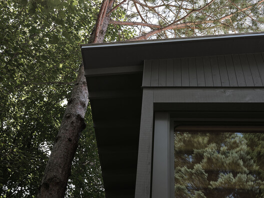 Residencia Saint-Ferréol Résidence / Jérôme Lapierre Architecte Residencia Saint-Ferréol Résidence / Jérôme Lapierre Architecte - Fotografía exterior, Madera, Bosque