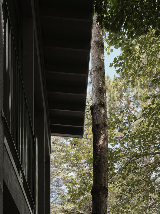 Residencia Saint-Ferréol Résidence / Jérôme Lapierre Architecte Residencia Saint-Ferréol Résidence / Jérôme Lapierre Architecte - Fotografía exterior, Madera