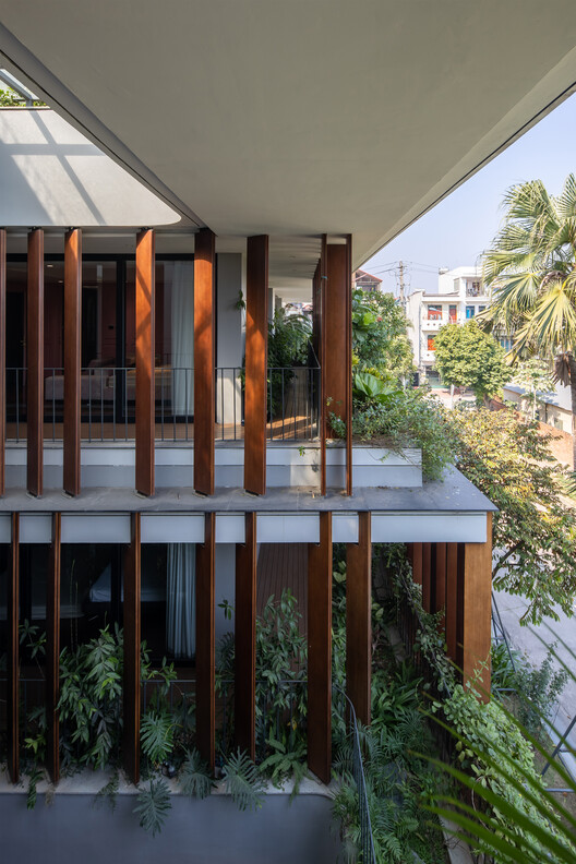 Tropical House 2 / ARO studio - Image 5 of 24