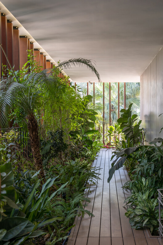Tropical House 2 / ARO studio - Image 15 of 24