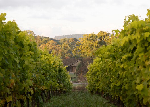 The Wine House / NORM Architects The Wine House / NORM Architects - Exterior Photography