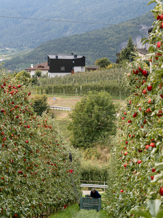 Hometown House / MoDusArchitects - Image 10 of 56