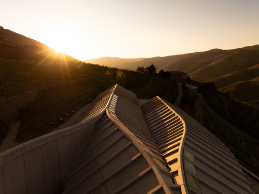 Adorigo Farm Winery / Atelier Sergio Rebelo - Image 25 of 32