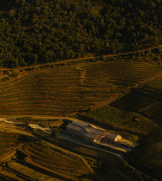 Adorigo Farm Winery / Atelier Sergio Rebelo - Image 27 of 32