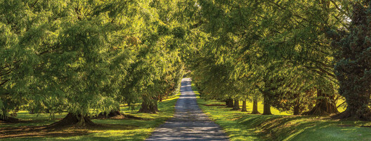 Tashiding: Beyond Earth and Sky The Gardens of Douglas & Tsognie Hamilton - Image 2 of 6