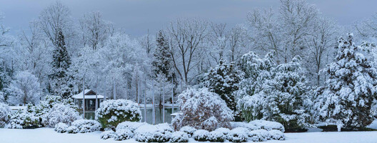 Tashiding: Beyond Earth and Sky The Gardens of Douglas & Tsognie Hamilton - Image 6 of 6