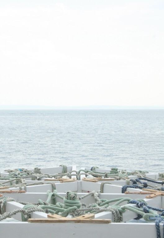 Plivatri Pavilion / MEDS (Meetings of Design Students) + Ahmad El Zu'bi + Leda Demetriadou + Stefanie Zins - Image 9 of 22