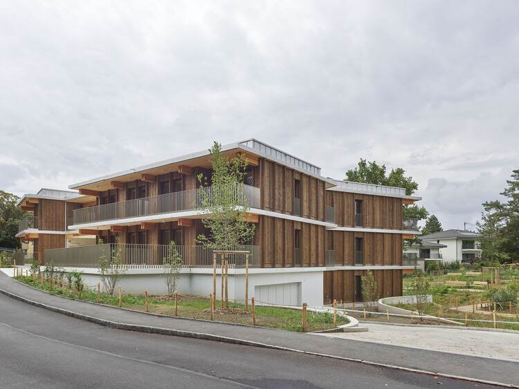 Architecture that Shapes Health: Lessons of Design and Well-Being in 2025 - Image 18 of 19