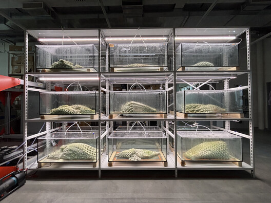 From Material Intelligence to Circularity: Lessons from Architecture in 2025 - Image 13 of 22