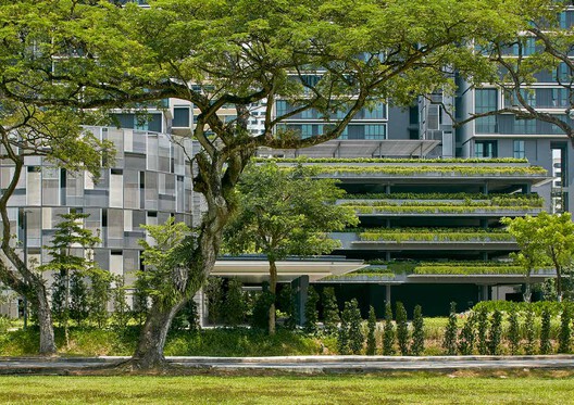 SCDA: Beyond Boundaries - Image 5 of 6