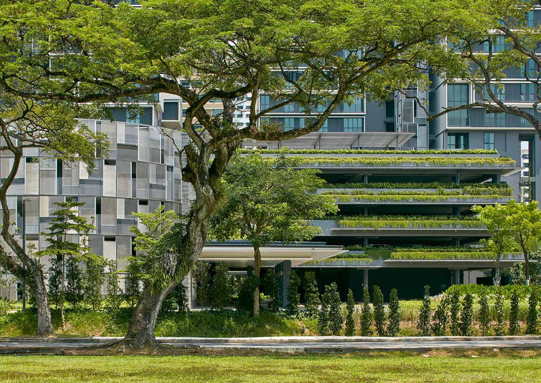 Gallery of SCDA: Beyond Boundaries - 6