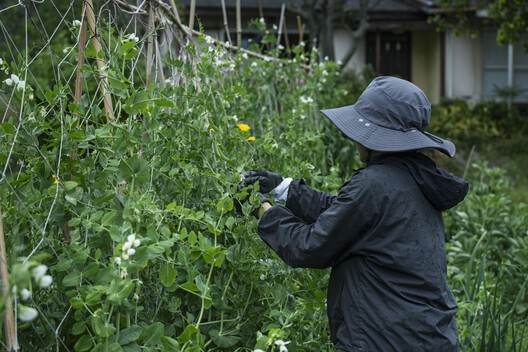 Teshima Factory / Schemata Architects + Jo Nagasaka - Exterior Photography, Garden