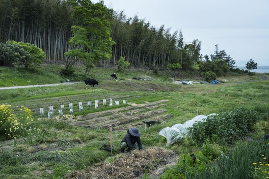 Teshima Factory / Schemata Architects + Jo Nagasaka - Exterior Photography