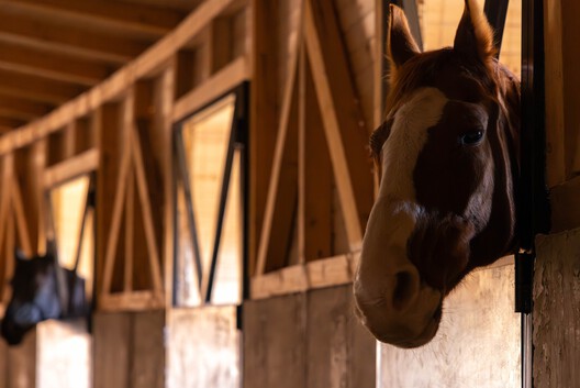 Fairy Huts / Maden Group - Interior Photography, Wood