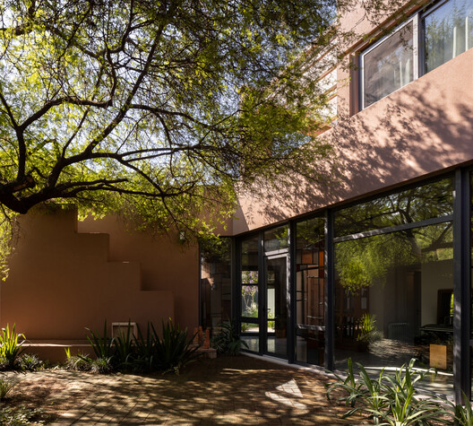House around the Tree / otro estudio - Exterior Photography, Courtyard