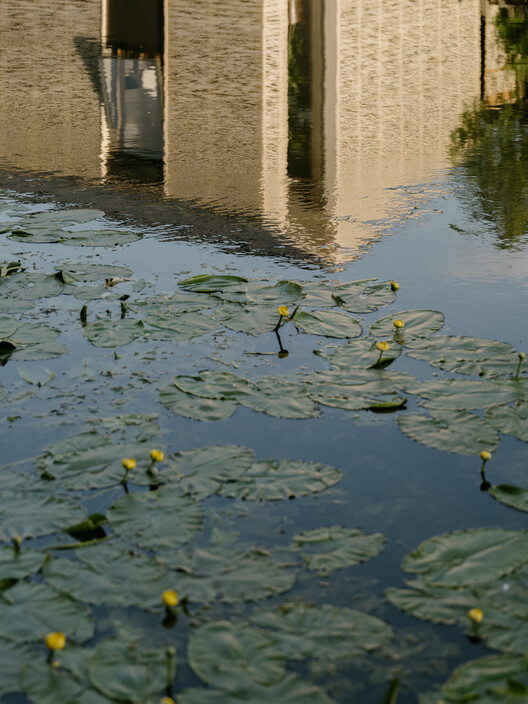 The Float House / Tigg + Coll Architects - Image 15 of 24