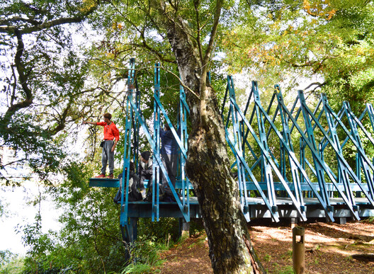 Isla Teja Performance Pavilions / Dum Dum Lab - Exterior Photography, Forest