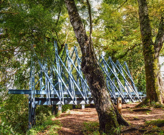 Isla Teja Performance Pavilions / Dum Dum Lab - Exterior Photography, Wood, Forest