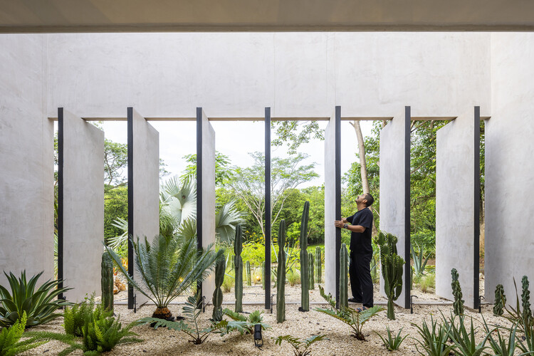 Patios Casa Seis / VOID - Fotografía de Interiores