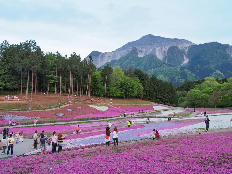 “Built Environment: An Alternative Guide to Japan” Exhibition in Montréal Examines Resilient Japanese Architecture - Image 2 of 23