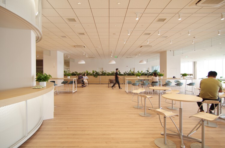 Centro de Pesquisa e Desenvolvimento da TOYOTA / Nikken Sekkei - Fotografia de Interiores, Madeira, Iluminação, Cadeira