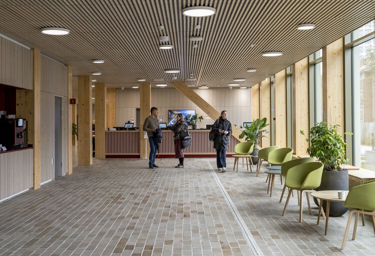 Edificio de oficinas WoodHub / CF Møller - fotografía de interiores, madera, sillas
