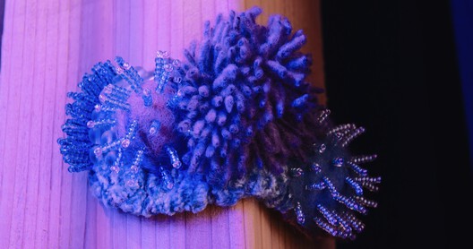 “Users Are the Experts on Themselves”: How People Shape the Spaces They Use - Image 22 of 29