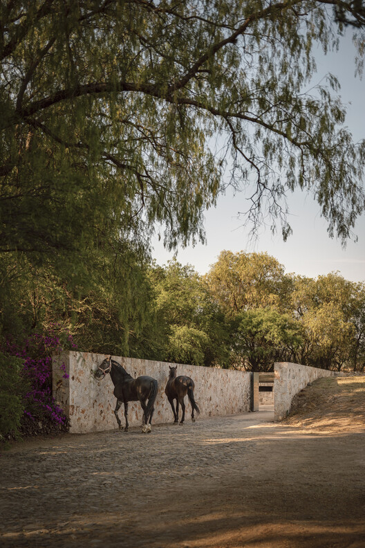 Ganadería Santillán/Cosmos - Fotografía de exteriores