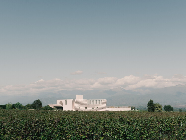 Bodega Vachnadziani / Laboratorio de Arquitectura #3 - Imagen 2 de 36