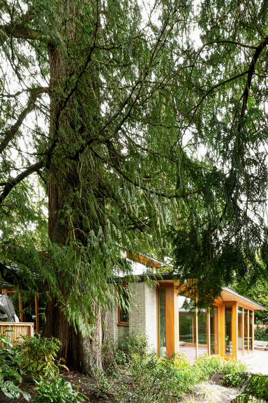 Osler House  / Scott and Scott Architects  - Exterior Photography, Wood, Garden