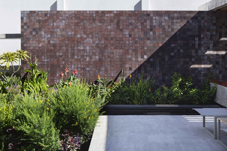 Casa Colibrí / Estudio Libre MX - Imagen 2 de 12