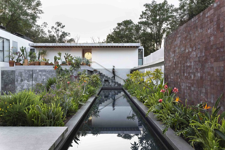 Casa Colibrí / Estudio Libre MX - Casas