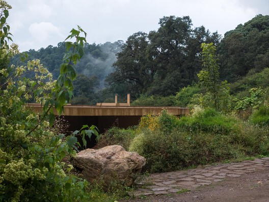 House 720 Degrees / Fernanda Canales - Exterior Photography, Wood, Forest, Garden