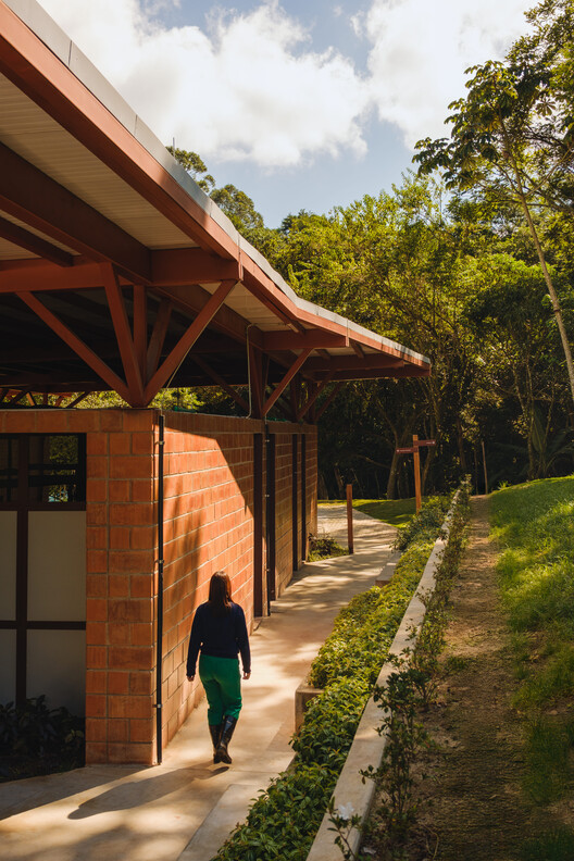Parque Lineal Córrego do Bispo/Naturaleza Urbana - Fotografía de exteriores, Madeira