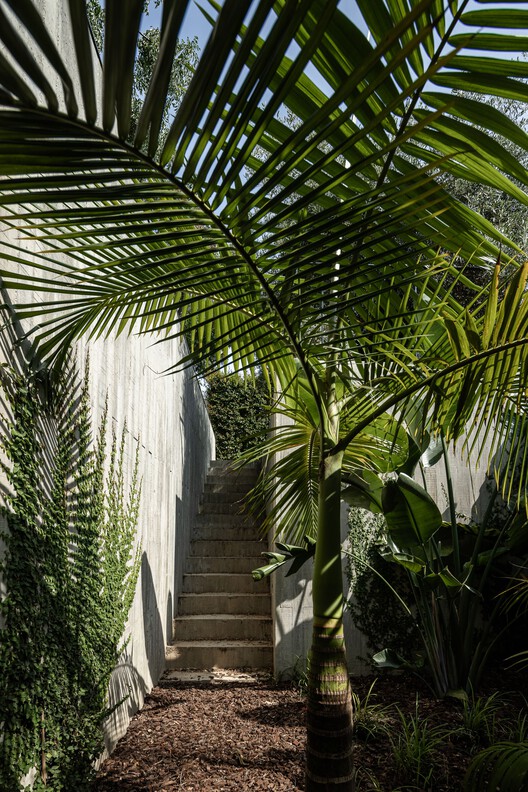 House Colinas / Atelier Data House Colinas / Atelier Data - Image 33 of 48