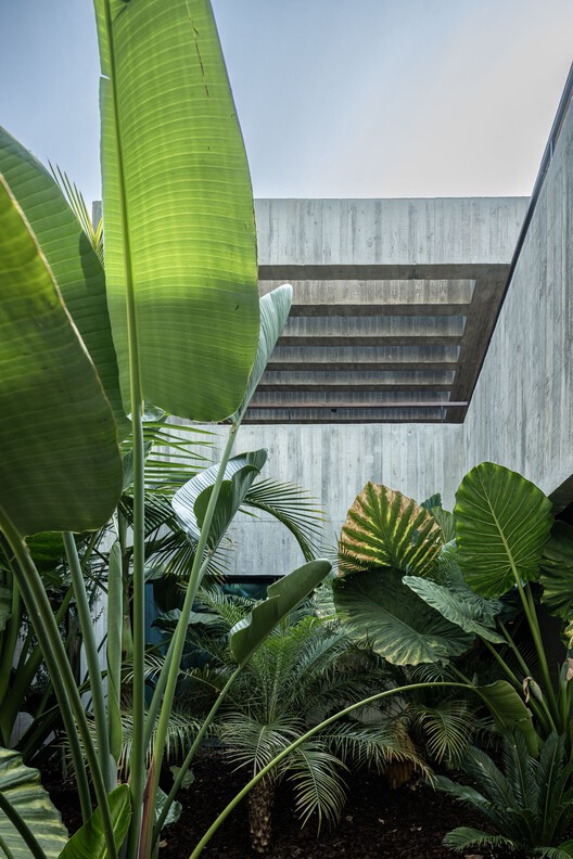 House Colinas / Atelier Data House Colinas / Atelier Data - Image 32 of 48