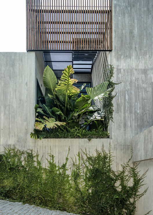 House Colinas / Atelier Data House Colinas / Atelier Data - Image 5 of 48