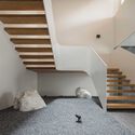 Halcyon House / Ming Architects - Houses