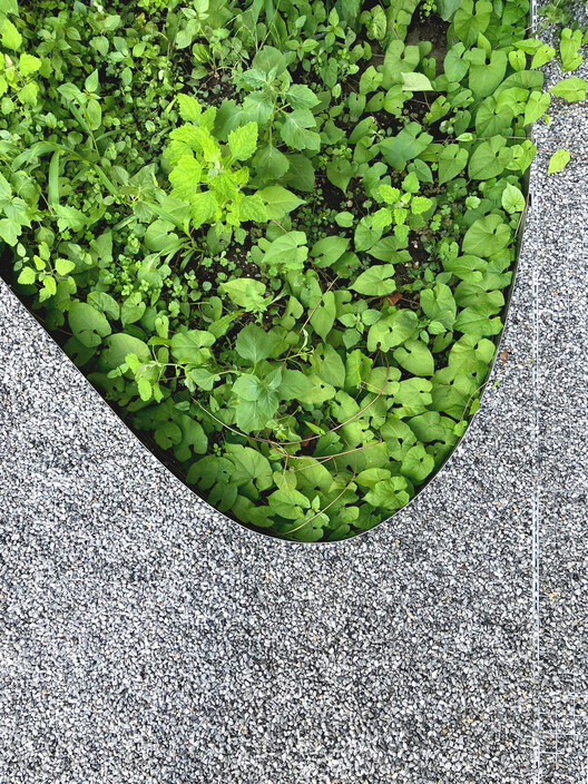 Casa LL - Office Transformation / P•A•N Casa LL - Office Transformation / P•A•N - Image 21 of 32