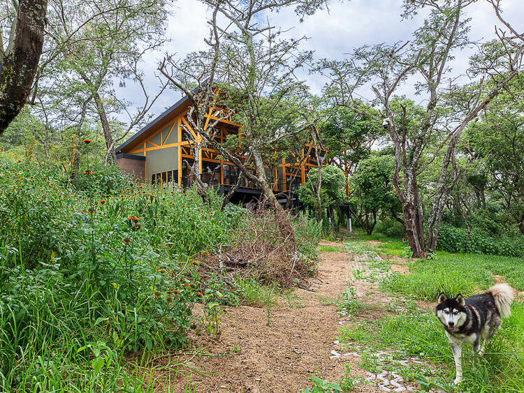 Casa Bosque / Espinoza Carvajal Arquitectos - fotografía exterior, madera