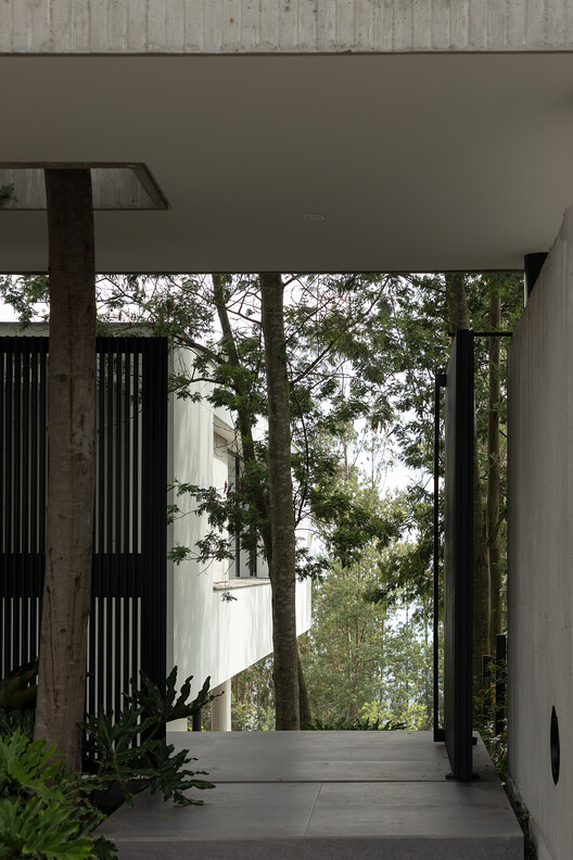 Casa na Floresta /  Gabriel Rivera Arquitectos - Fotografia de Interiores